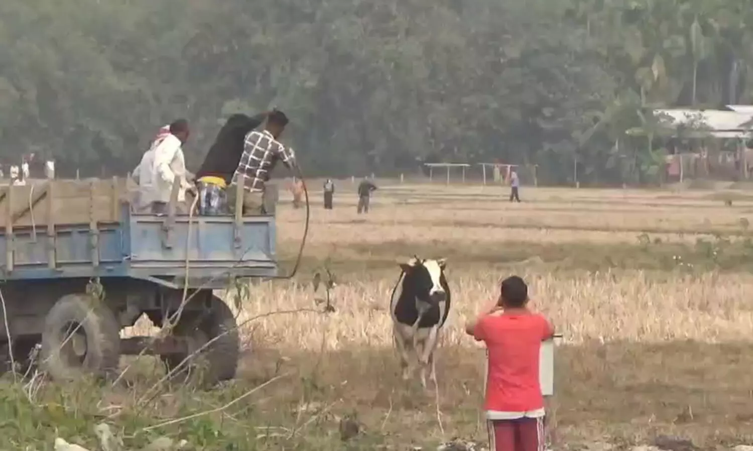 Barpeta: Barbaric killing of bull sparks outrage in Sarbhog, 5 arrested