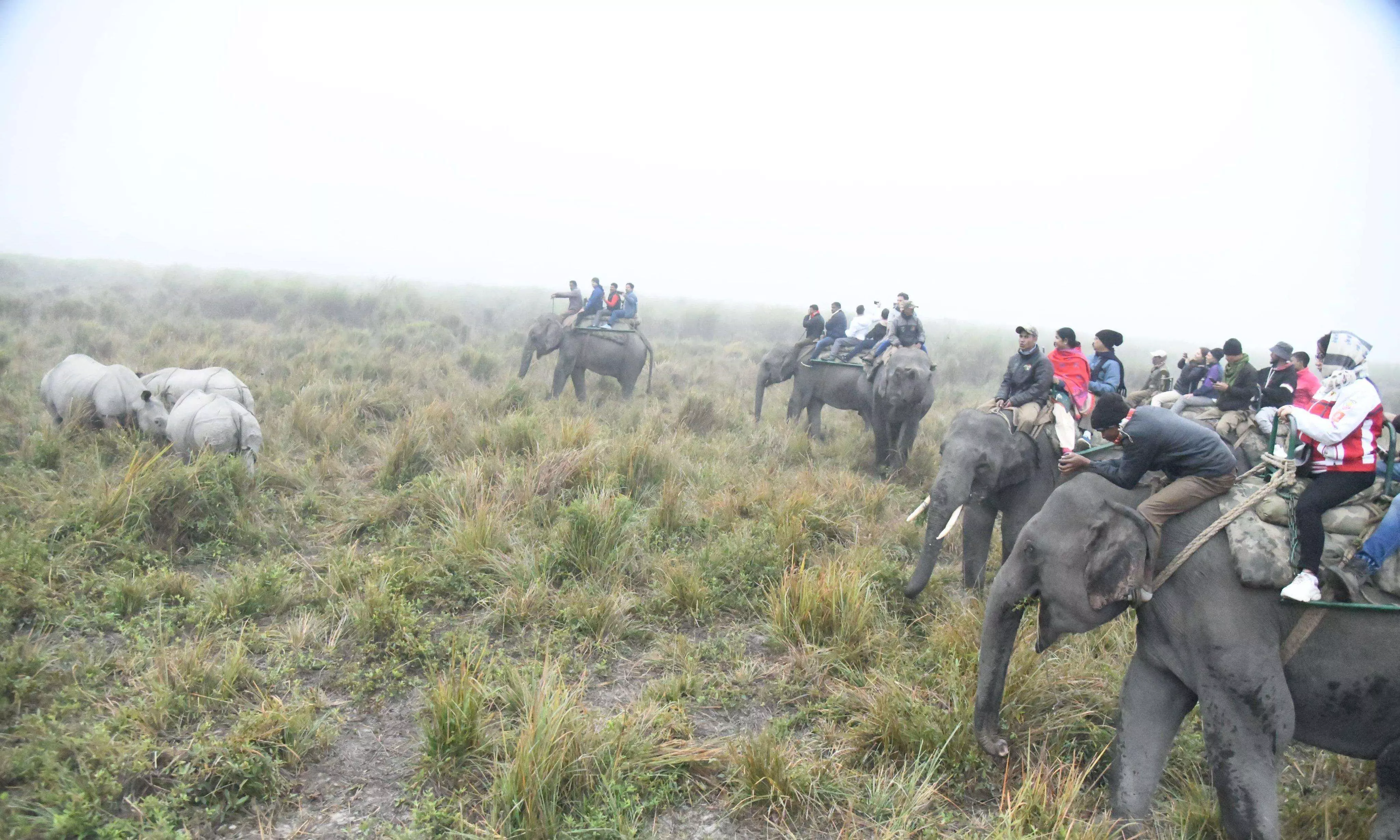 Kaziranga National Park: A journey through time and conservation Kaziranga National Park: A journey through time and conservation
