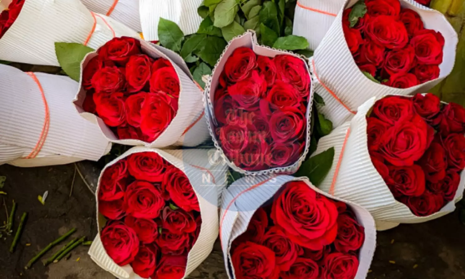 Nepal importing over 3 lakh roses from India for Valentines Day