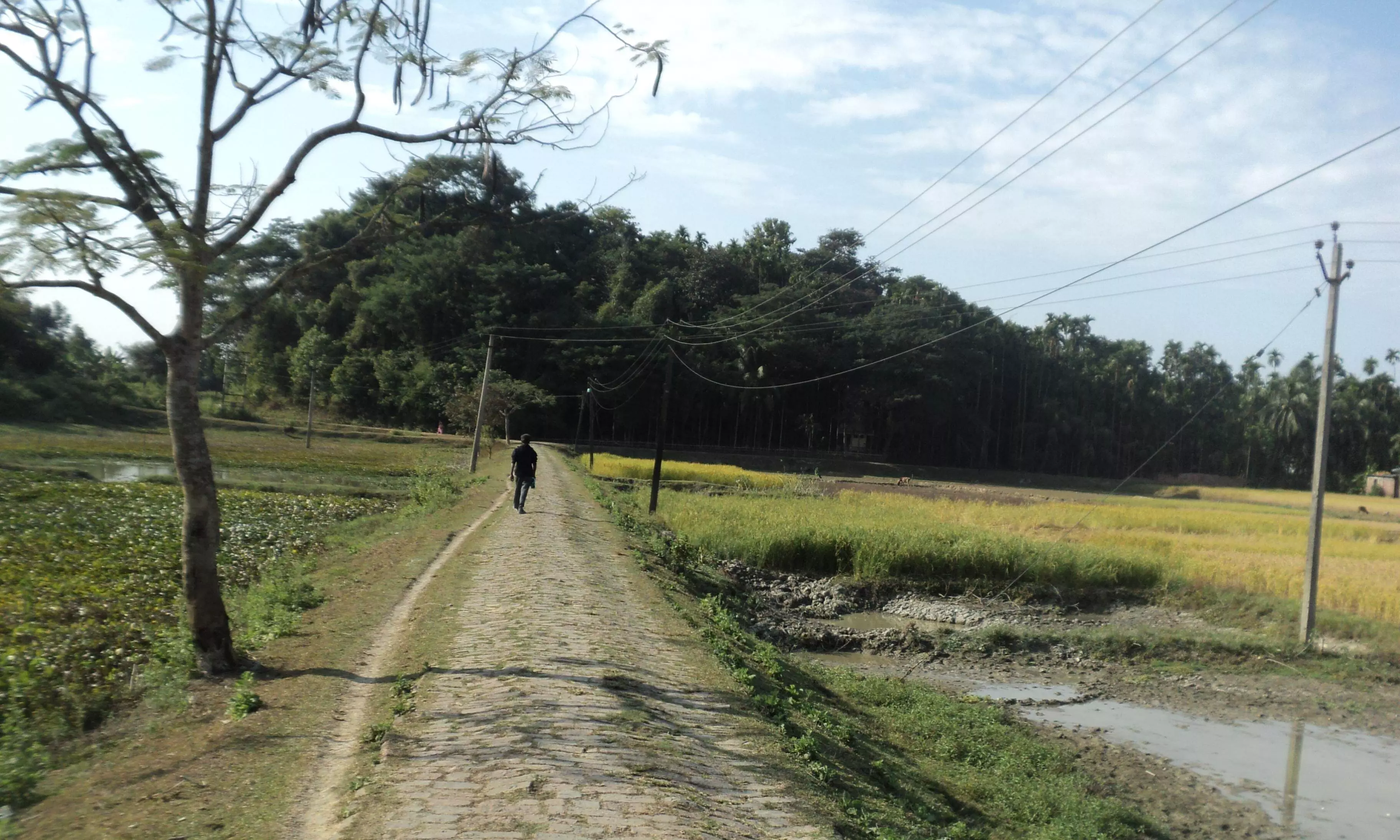 Assam: Over Rs 1500 cr approved for transforming rural road network Assam: Over Rs 1500 cr approved for transforming rural road network