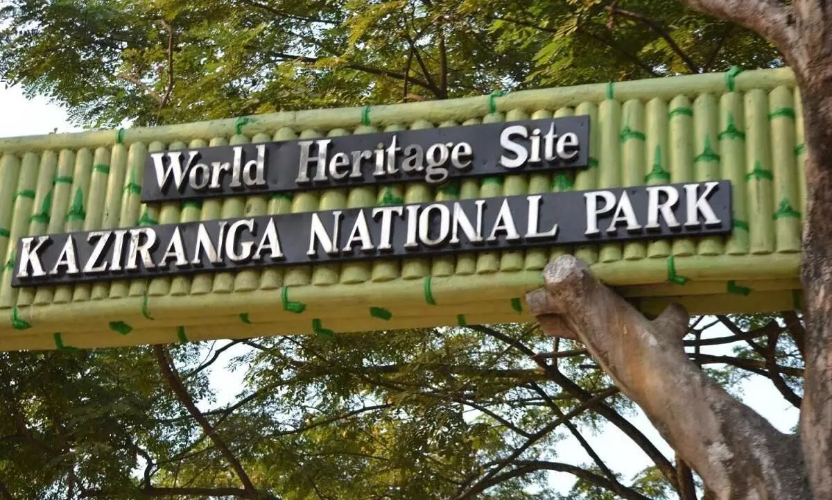 Elevated corridor in Kaziranga among five vital projects approved by NBWL Elevated corridor in Kaziranga among five vital projects approved by NBWL