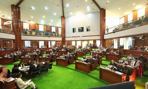 Nagaland Assembly to pass resolution opposing FMR