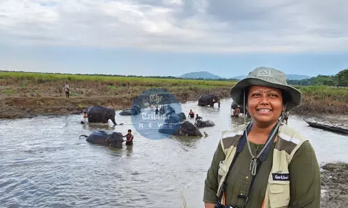 Guardian of the Wild: Meet Kazirangas first woman director