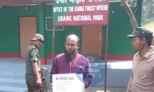 Poacher arrested in Udalguri; Authorities recover deer horn in successful operation