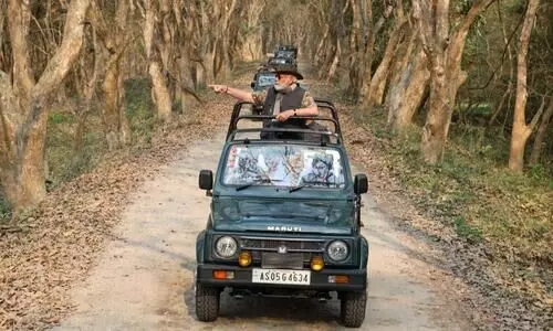 PM Modi takes safari in Kaziranga National Park