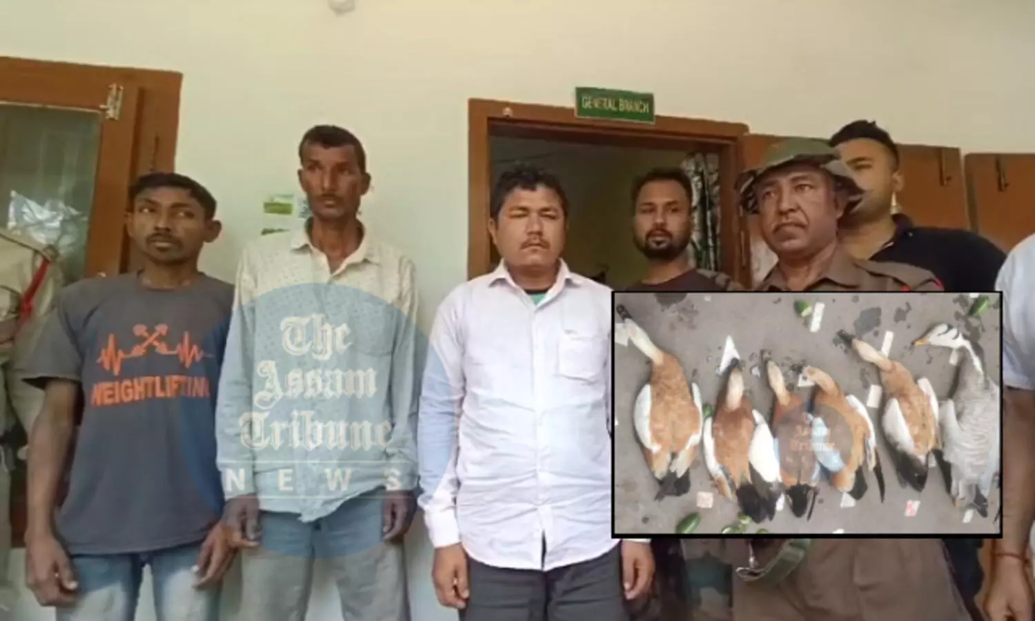 Assam: Three nabbed for poisoning migratory birds in Biswanath