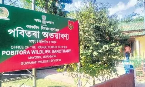 SC stays Assam govt’s move to withdraw notification of Pobitora Wildlife Sanctuary SC stays Assam govt’s move to withdraw notification of Pobitora Wildlife Sanctuary