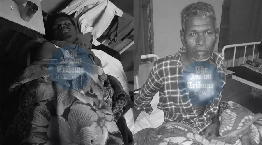 Assam: Father-son duo critically injured in leopard attack Assam: Father-son duo critically injured in leopard attack