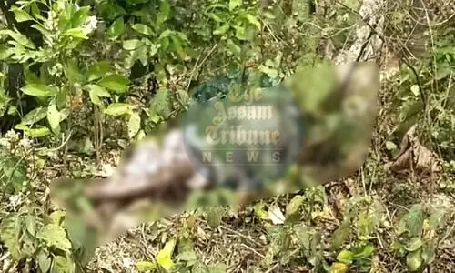 Assam: Decomposed body of minor girl recovered in Raha