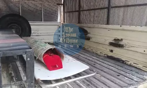 Kokrajhar: Bodies of two minors found in paddy field