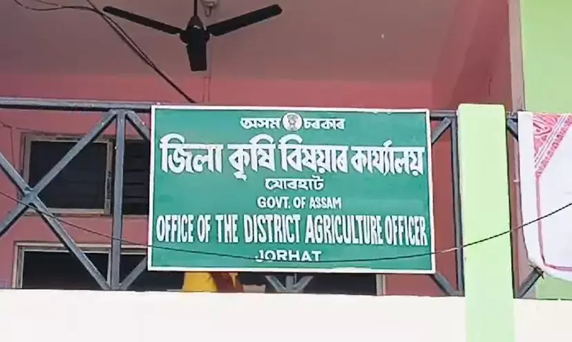 Jorhat: Accounts officer caught red-handed while accepting bribe Jorhat: Accounts officer caught red-handed while accepting bribe