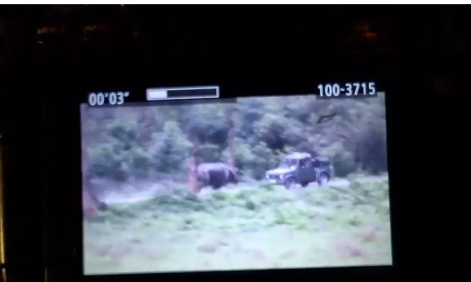 Assam: Rhino charges at tourist vehicle in Manas National Park