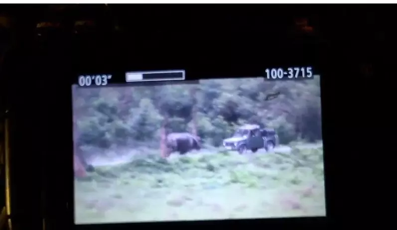 Assam: Rhino charges at tourist vehicle in Manas National Park Assam: Rhino charges at tourist vehicle in Manas National Park