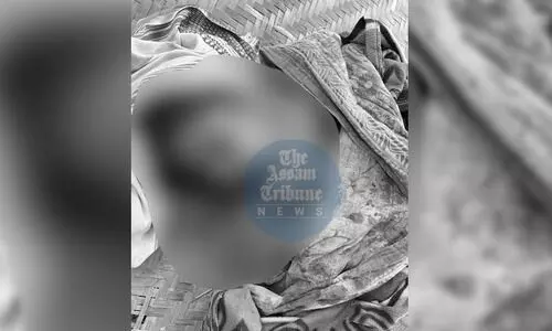 Assam: Wild elephant tramples woman to death in Nagaon