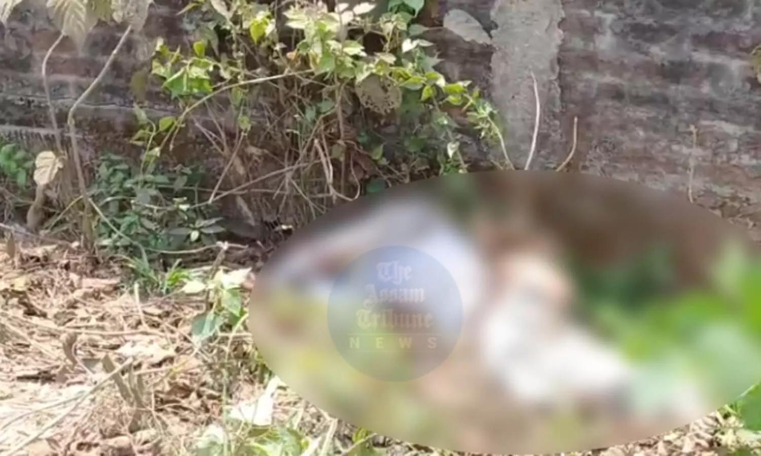 Unidentified man found dead in Assam’s Mariani