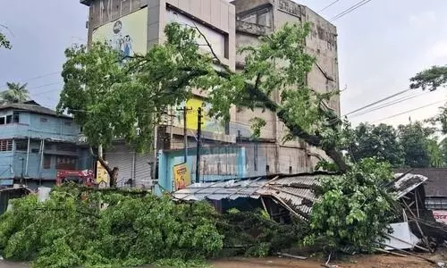 Severe storm wreaks havoc in Assams Karimganj