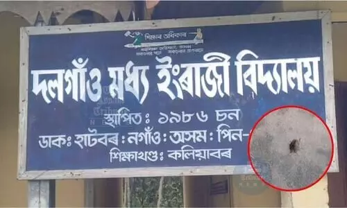 Assam: Unknown insect menace forces closure of school for two days in Nagaon