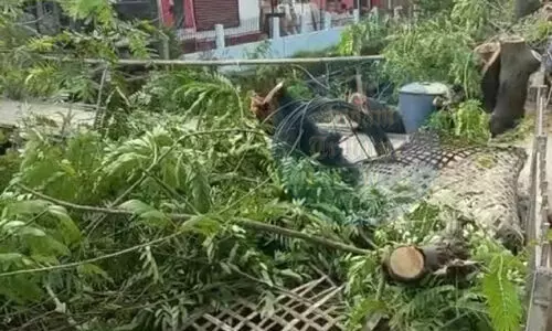 3,200 trees to be felled for Guwahati ring road