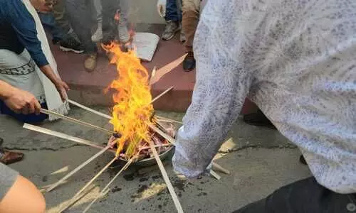 Mizoram pig farmers protest by burning imported frozen pork