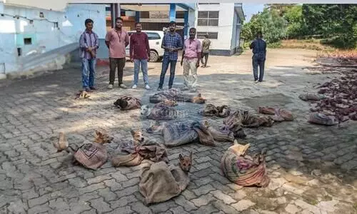 Assam: 14 dogs rescued from smugglers in Cachar, two detained