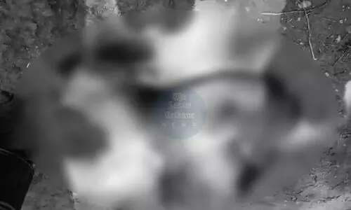 Barking deer found dead in Dhubri; suspected poaching raises alarms