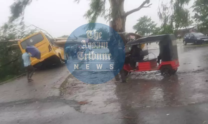 Tree falls on school bus in Dhekiajuli, several students injured Tree falls on school bus in Dhekiajuli, several students injured