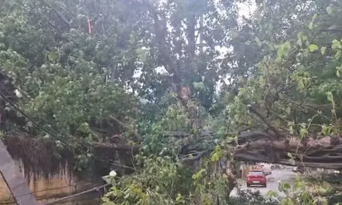 Youth killed after tree falls on house in Guwahati
