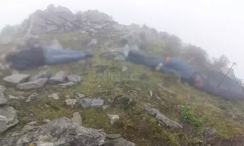 Sikkim: Two bodies found in Singalila National Park; lightning strike suspected