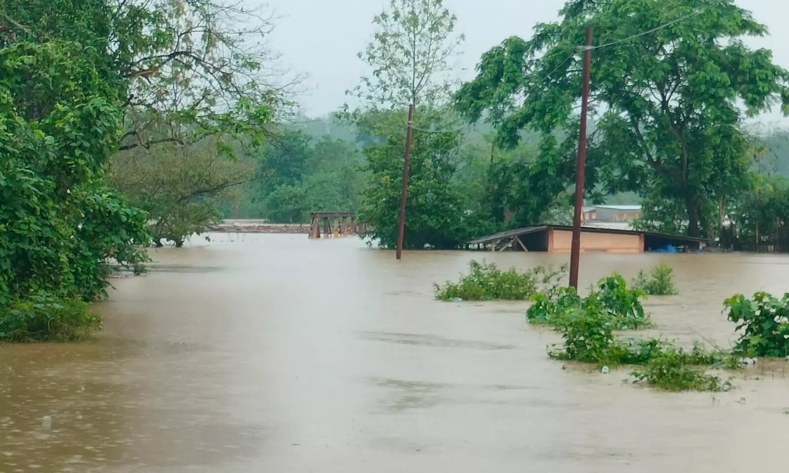 Assam Floods Over 5 Lakh Population Affected In 13 Districts Death Toll Reaches 14 7102