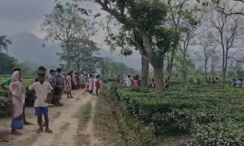 Man found hanging in Nagaon tea garden; murder suspected