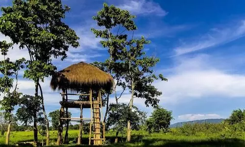 Watch towers in Tripura to reduce man-animal conflict