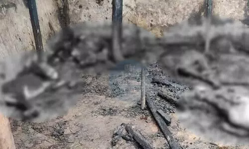 Assam: 17 cows charred to death in Karimganj, probe underway