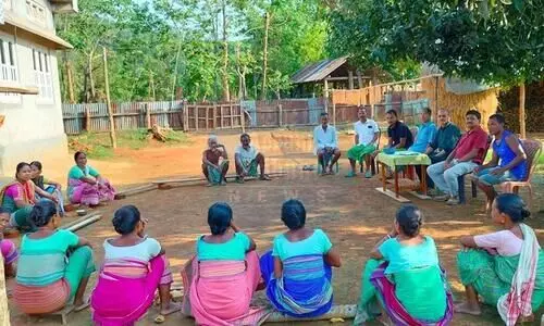 Anti-elephant solar fence turns tool for women empowerment in Meghalaya village