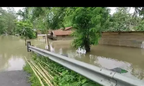 Panic grips Nagaon as Hatimura Dyke at Kaliabar breaches