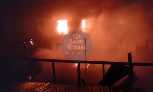 Fire breaks out at Mizoram’s Darlawn village, dog burnt to death