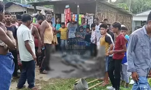 Suspected heatstroke claims truck drivers life in Nagaon