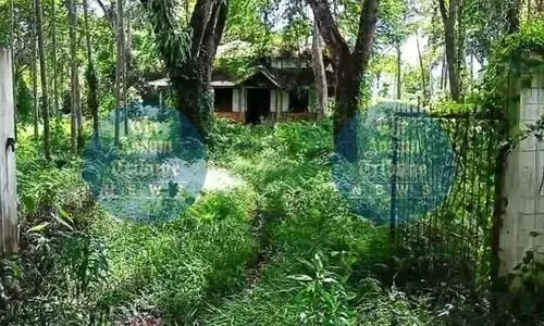 Assam: Jorhats ashram where Gandhi stayed on verge of breakdown