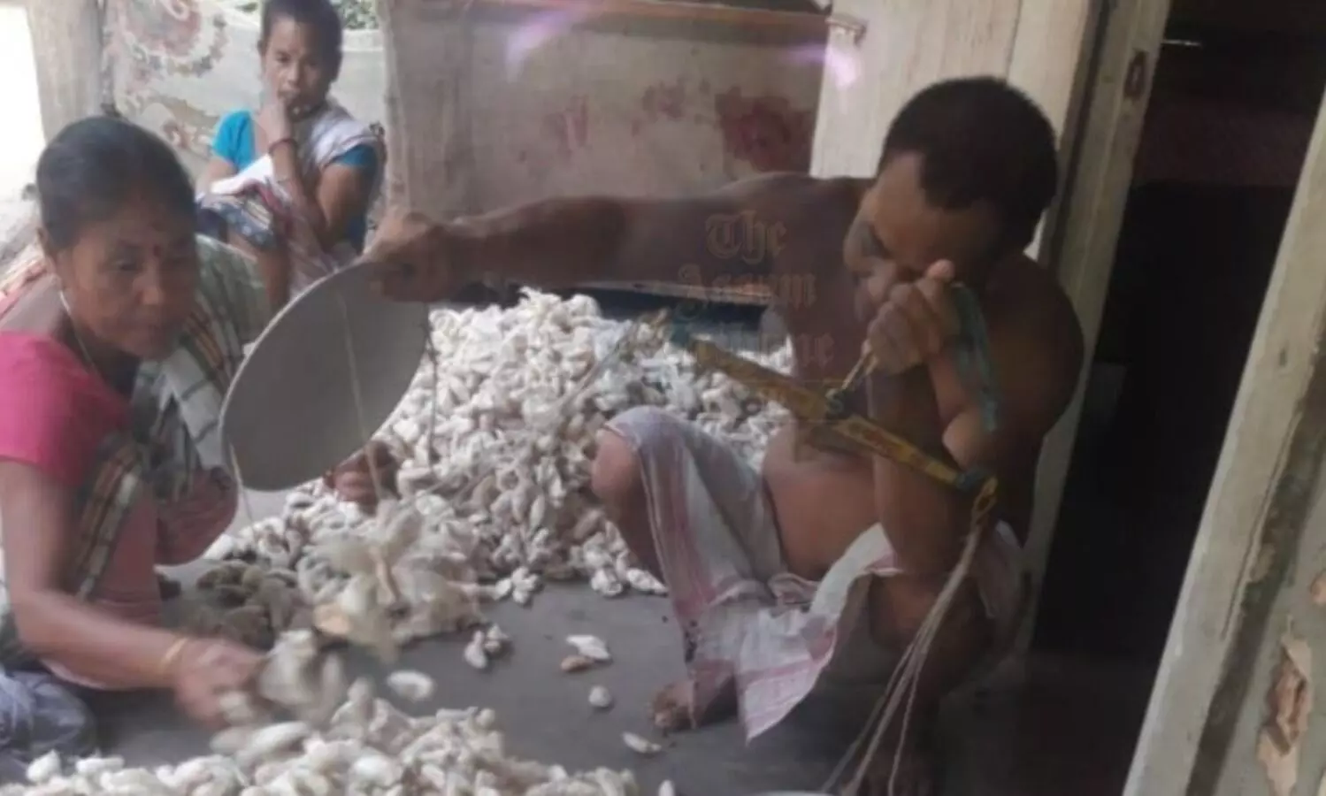 Reviving Tradition: Eri rearing transforms lives in Nalbari