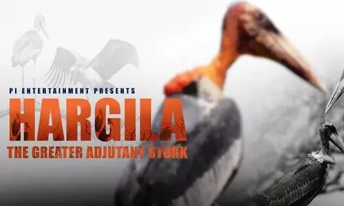 Hargila movie gets special mention at National Film Awards