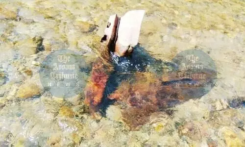 Villagers discover unexploded bombs in Arunachal; site secured by police