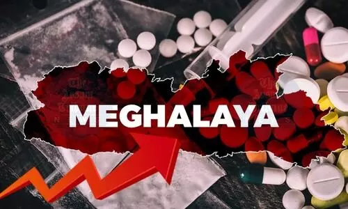 Meghalaya minister reveals 3L drug users, allocates Rs 50 Cr for anti-drug measures
