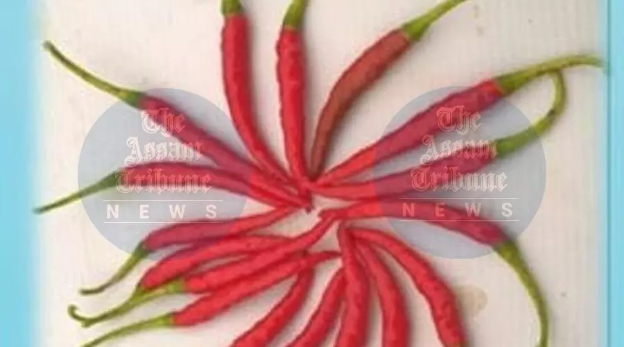 Prabali chilli 