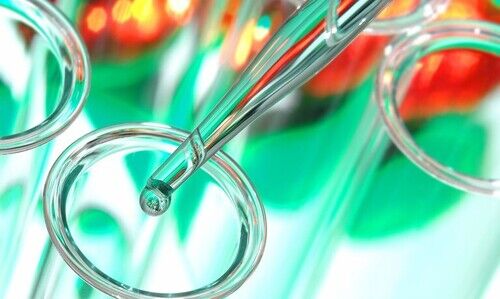 KPV Peptide: A Multi-Disciplinary Exploration of Inflammation, Immunity, and Cellular Dynamics