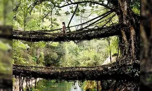 Meghalaya ramps up heritage sites preservation amidst local challenges