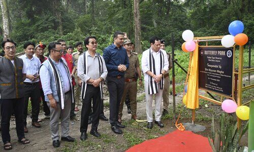 Butterfly park opens up at Pakke Tiger Reserve in Arunachal