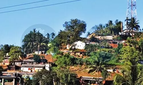 Large portion of forest areas in Kamrup (M) under encroachment: Govt