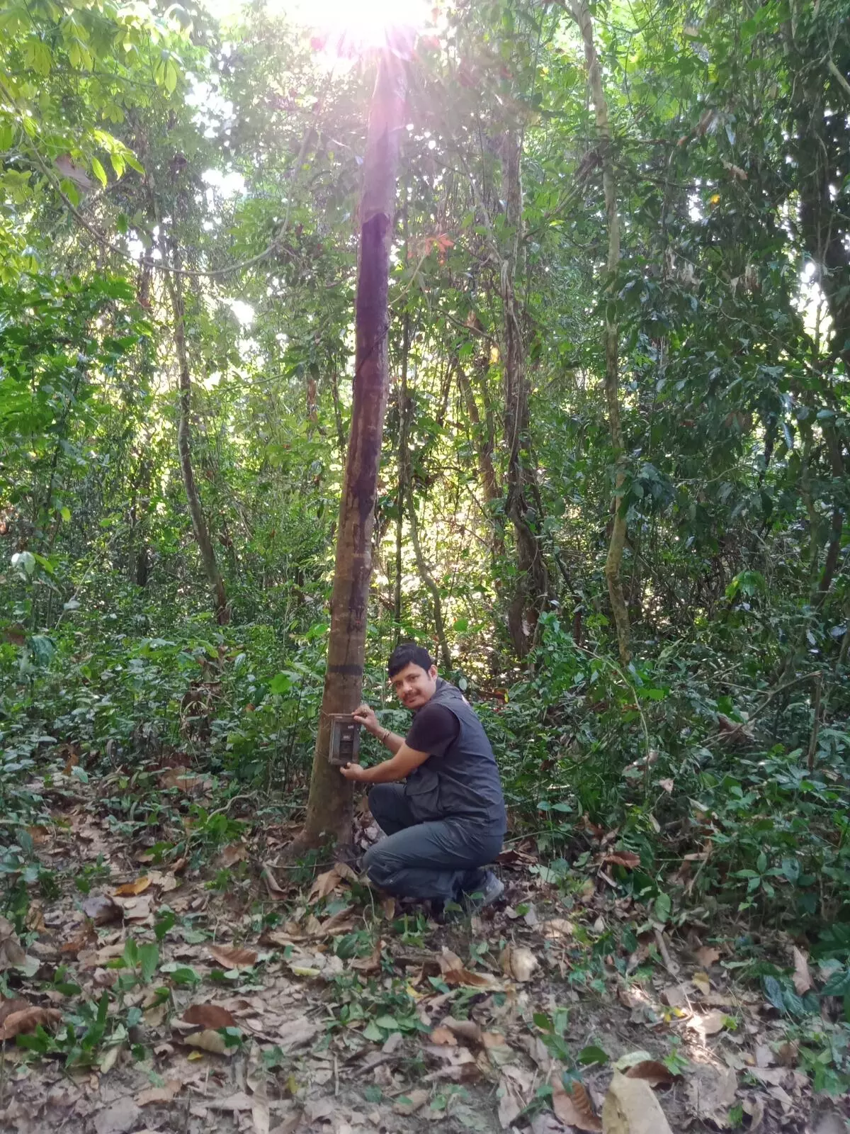 Aaranyak conservationist Dr Dipankar Lahkar during cameratrap installation in Manas National Park