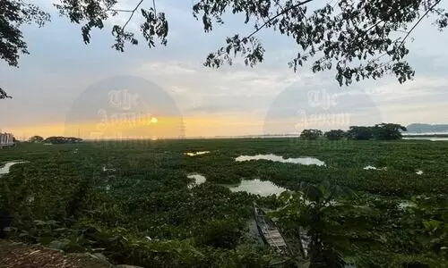 Vigilance & public support prevent train–elephant collision risk at Deepor Beel