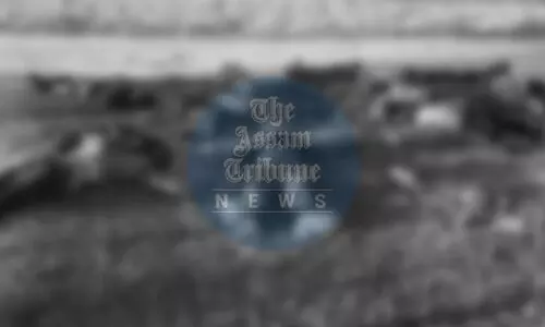 11 militants killed, one CRPF jawan wounded in fierce gunbattle in Manipurs Jiribam