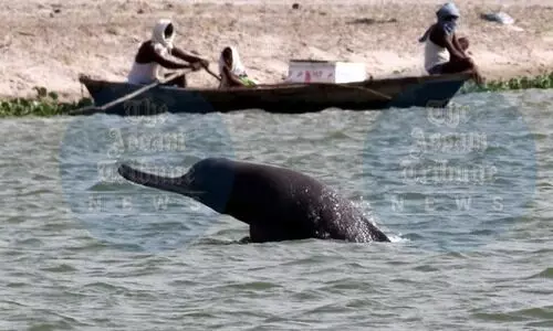 NMCG Exec Committee meeting approves projects for river dolphins & assessment of flow of 4 rivers